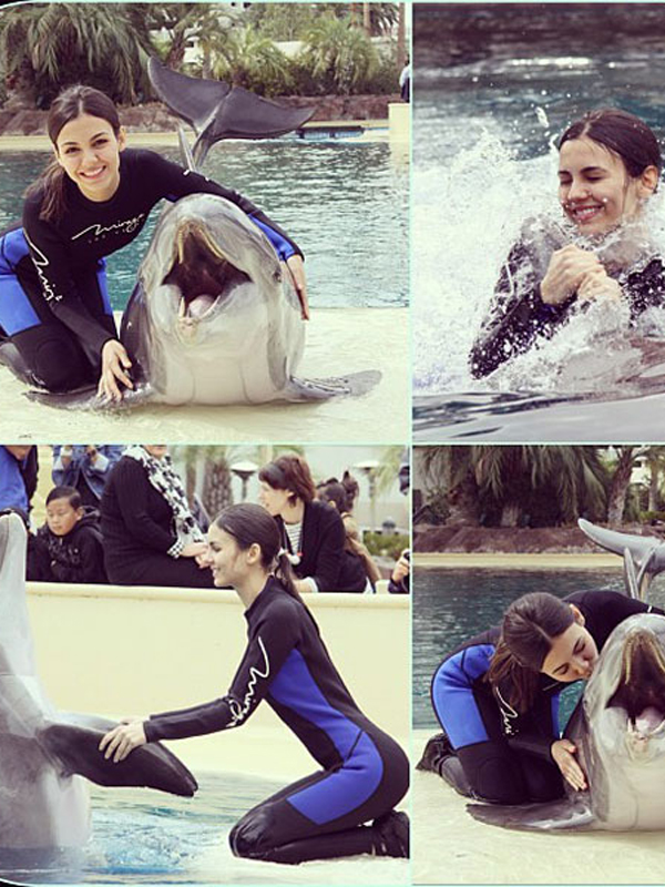 victoria-justice-swims-with-dolphins-twitpic.jpg